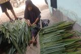 Atap rumbia dan kearifan lokal di Lebak Banten