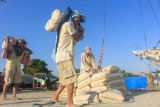 Bongkar muat barang di Pelabuhan Paotere