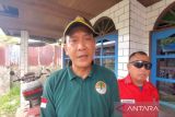 Waspada kemunculan buaya di musim kawin