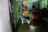 Banjir rob di Dumai