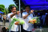 Pemkab Pekalongan masifkan gerakan pangan dan  ASN peduli petani