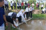 Pemkab Pulang Pisau berikan nelayan bantuan alat tangkap dan benih