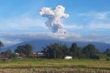 Gunung Marapi kembali erupsi setinggi 1.000 meter diiringi dentuman