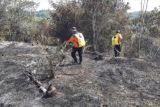 BMKG catat 72 titik panas di wilayah Riau