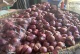 Harga pangan Selasa pagi, bawang merah naik menjadi Rp30.940 per kg