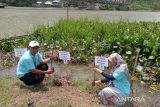 DAS Serayu miliki peran penting bagi masyarakat Banyumas