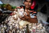 Harga bawang putih naik jadi Rp40.350 per kg