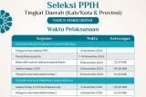 Seleksi Petugas Haji 2025 tingkat daerah dibuka, Ini syarat dan tahapannya