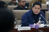 Erick Thohir: 40 BUMN sehat, 7 masih dalam proses