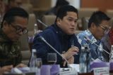 Erick Thohir usulkan merger PTPN dan Perhutani