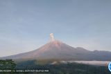 Gunung Semeru  beberapa kali erupsi disertai letusan hingga 1 km