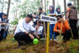 Pemkab Gowa menanam 704 pohon di lahan kritis