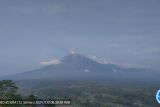 Gunung Semeru delapan kali erupsi disertai letusan