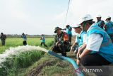 PLN Listriki area sawah garapan Kementan bersama TNI