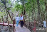 PLN dampingi ekowisata hutan mangrove Purba Jerowaru