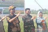 Pemkot Pekalongan  panen padi di lahan terdampak rob