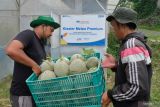 Temanggung, daerah dengan tingkat pengangguran terbuka terendah di Jateng