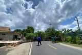 Petugas evakuasi pohon tumbang tutupi jalan lintas Sumatera