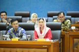 Anggota Komisi VII DPR minta Kemenpar pertimbangkan penghapusan DAK pariwisata