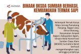 Binaan BKSDA Sumbar berhasil kembangkan ternak sapi