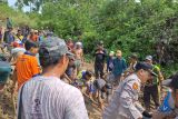 Petugas gabungan tangani material longsor di Kabupaten Pesisir Barat