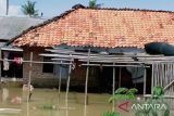 Seratusan keluarga di Karawang mengungsi terdampak banjir