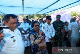 Wamendagri: Pelaksanaan Pilkada di Provinsi Papua kondusif