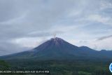 Pagi ini, Semeru beberapa kali erupsi dengan tinggi letusan hingga 800 meter