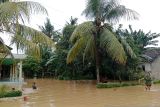 Ratusan rumah warga di Jember terendam banjir