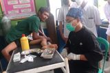 Terusik disepak bocah, monyet menyerang balik dan gigit kaki