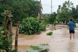 Banjir dan Longsor terjang Pesisir Selatan