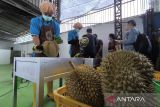 Ekonomi kemarin, komoditas durian RI sampai ULN triwulan III 2025