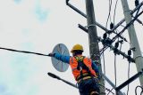 Atasi gangguan listrik via PLN Mobile