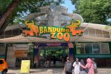 Manajemen baru YMT komitmen jaga aset Bandung Zoo