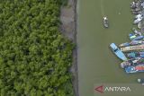 Kementerian LH akan rehabilitasi mangrove di Indramayu