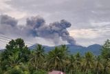 Gunung Dukono hari ini semburkan abu vulkanik setinggi 1.100 meter