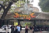Pemkot serahkan sengketa pengelolaan Kebun Binatang Bandung 2025 ke polisi dan kejaksaan