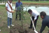 PKK Tanjabtim - BWSS VI Jambi tanam pohon jaga keseimbangan alam