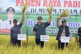 Pemkab Lamongan catat panen raya ketiga dengan harga gabah lampaui HPP