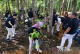 Pemulihan ekosistem hutan di IKN dilakukan secara ekologis