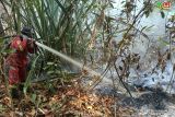BMKG: 4.028 titik panas terdeteksi di Pulau Sumatera