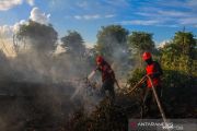 Govt allocates Rp5.5 bln for forest fire mitigation in West Kalimantan