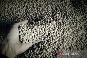 Bapanas minta distributor dan importir patuhi harga acuan kedelai
