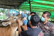 Pemkot Jaktim soroti pentingnya pelatihan manajemen kurban