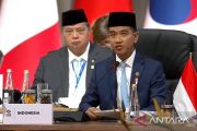 Indonesia presses respect of diverse development strategies at G20