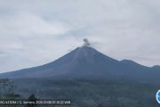 Indonesia's Mount Semeru erupts again, ash column reaches 700 Meters