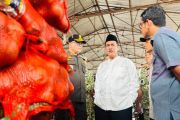 Minister seizes 133.5 tons of smuggled onions, cites farm risks