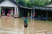 BPBDSumsel tingkatkan kewaspadaan Banjir pada puncak musim hujan