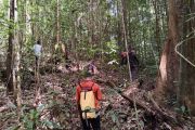 Tim SAR Gabungan cari pria hilang di hutan Barito Selatan