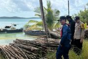 Polres Lingga cegah upaya penyelundupan 8.000 batang pohon bakau